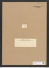 Achnanthes lanceolatus var. dubia Grun. (de-Toni-Nr.: Genus 43, Species 1969) Zeichnungen Sammlung Grunow Nr. 3889 (NHMW-BOT-W0371609)